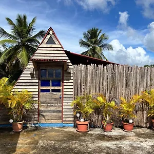 Coconut Apartment